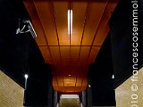 DSCF3959.jpg